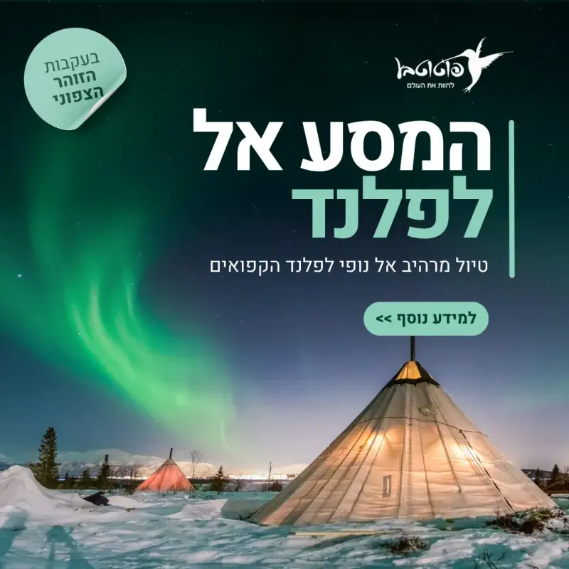 פוטוטבע קידום אלוש