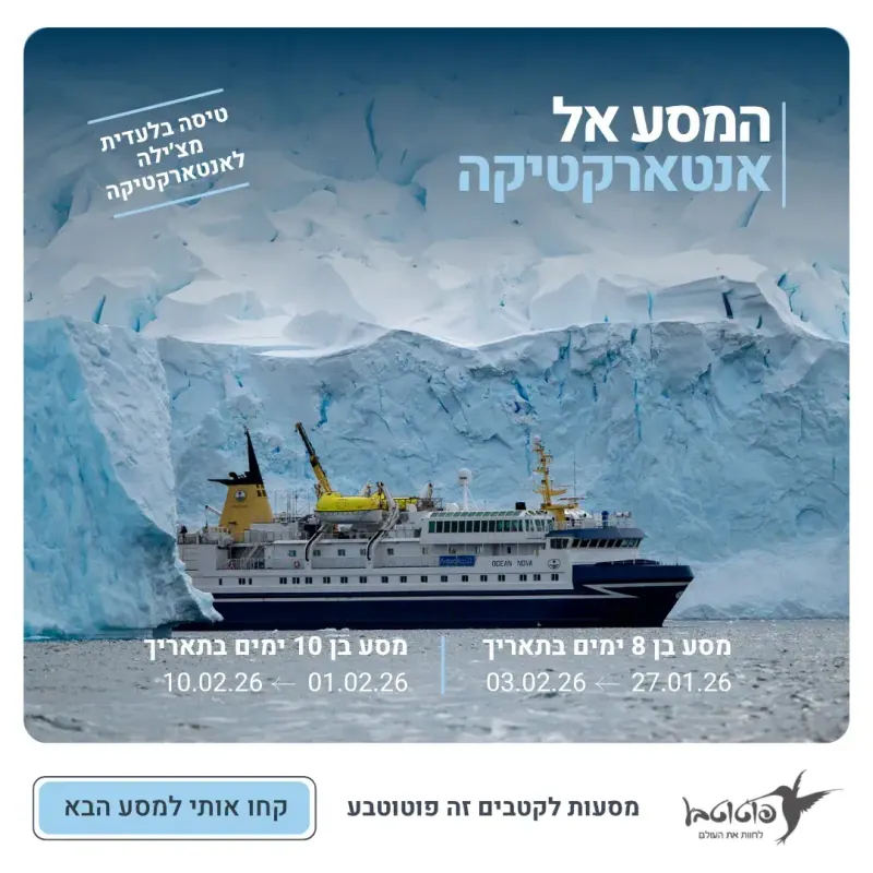 פוטוטבע קידום אלוש