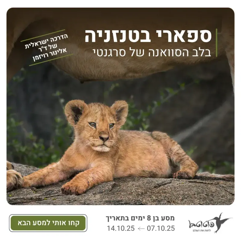 פוטוטבע קידום אלוש1