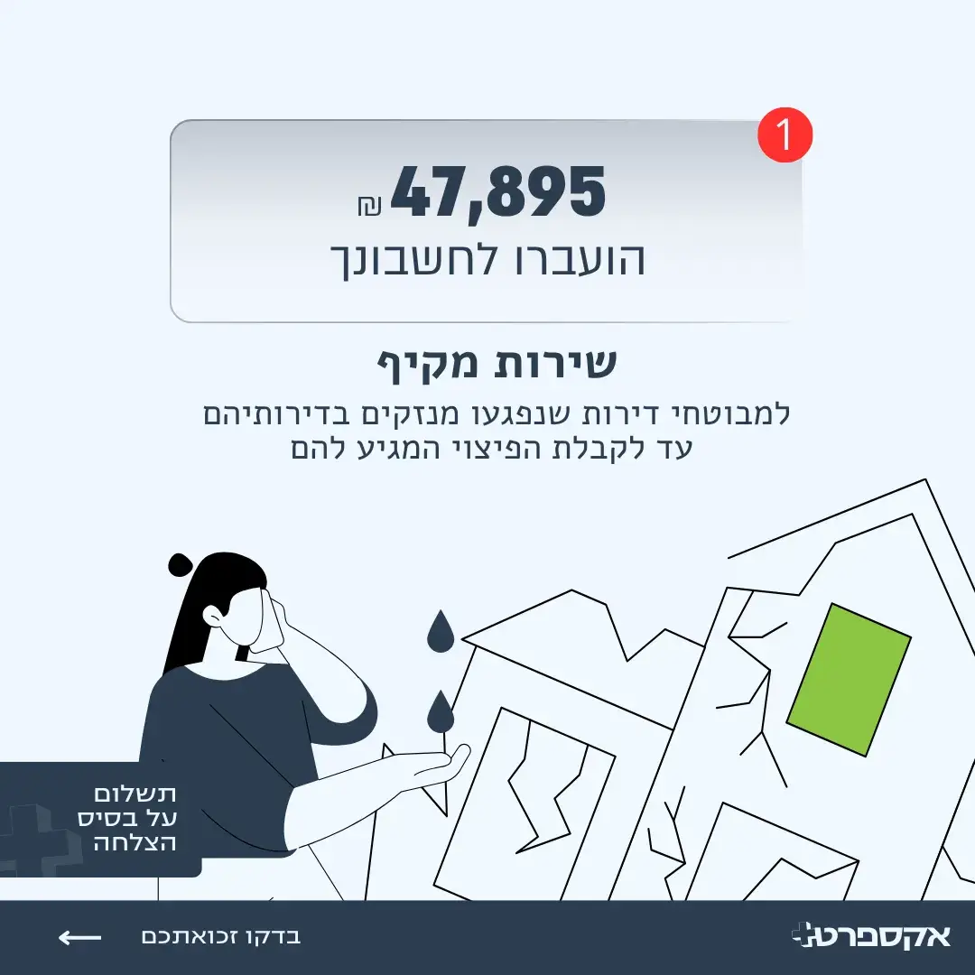 אקספרט פלוס קידום אלוש