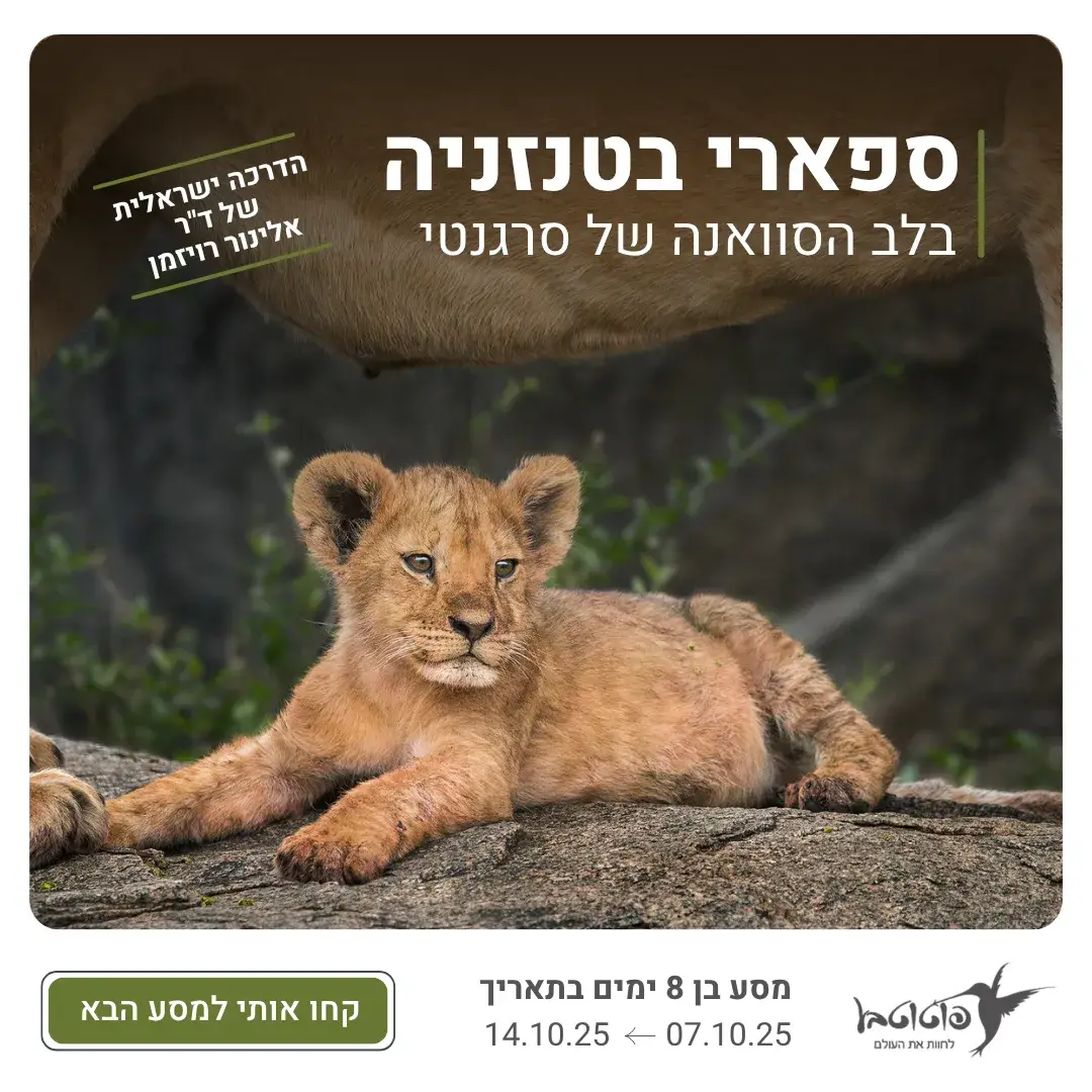 פוטוטבע קידום אלוש1