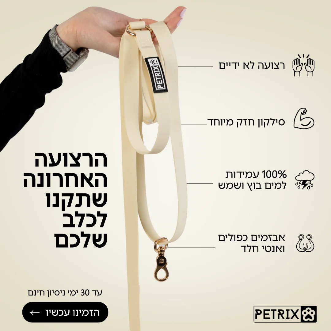 בעלי כלבים_compressed